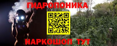 спайс Моздок